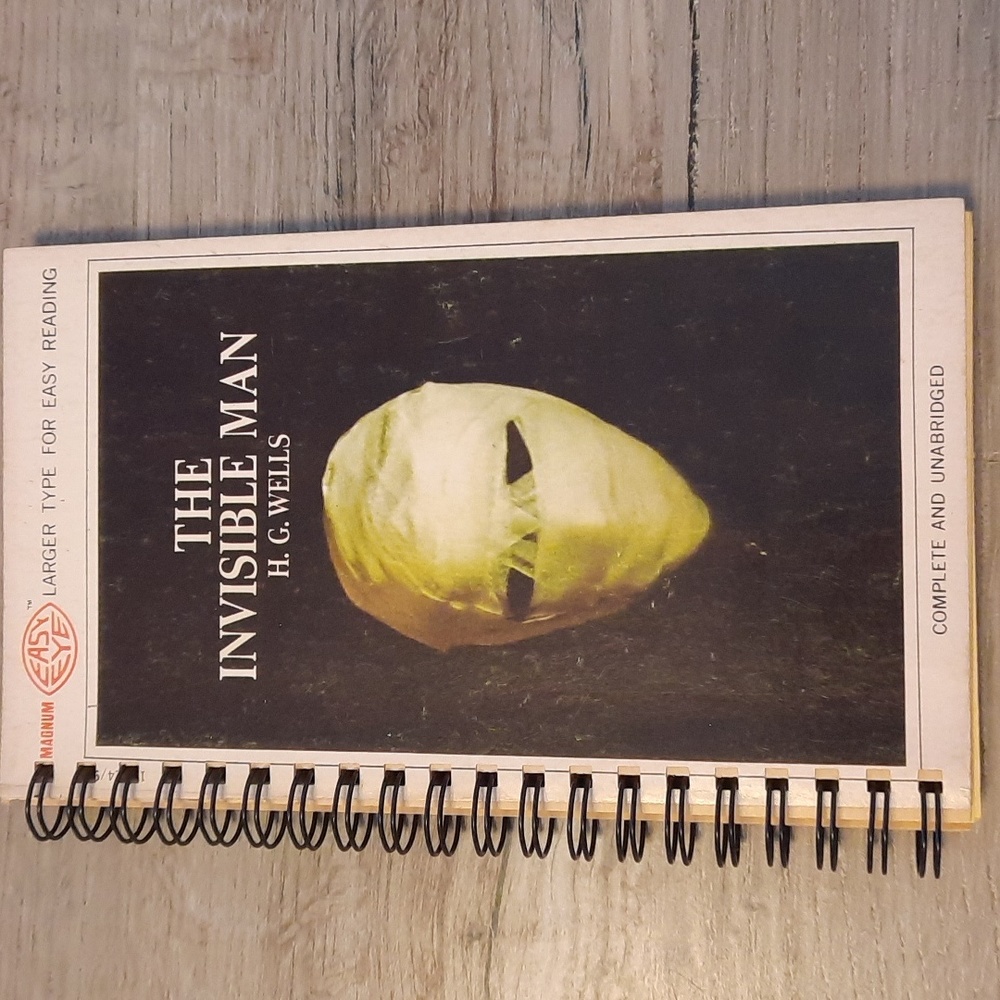 Secret Journal "The Invisible Man" - Picture 2 of 6